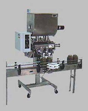 Piston Filler Model DVS